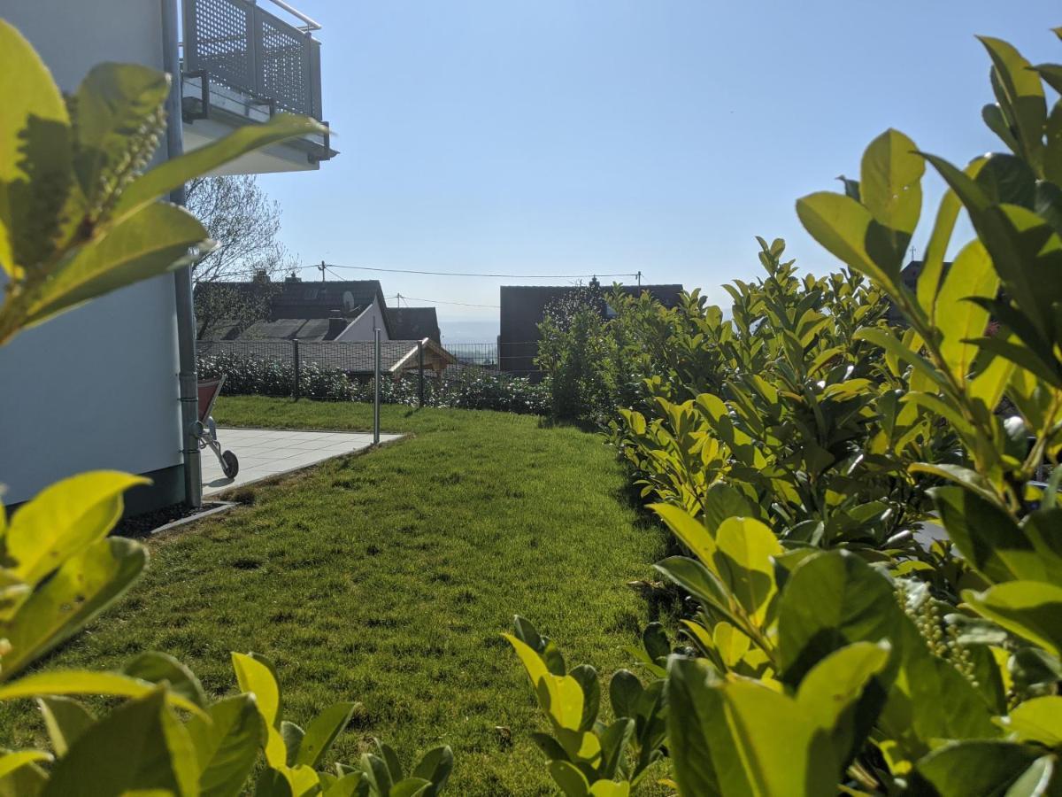 Ferienwohnungen Pellenzblick - Wohnen Auf Zeit - Nickenich Ngoại thất bức ảnh